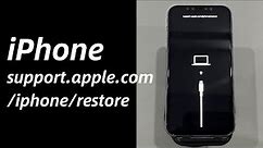 How to Fix iPhone support.apple.com/iphone/restore (without computer) | Four Steps