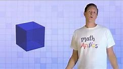 Math Antics Volume
