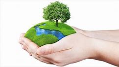 World Environment Day 2021: Theme, quotes, slogans, posters, greetings