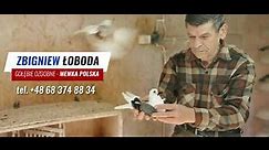 Gołebie ozdobne krótkodziób - Zbignew Łoboda - Mewka Polska - CAŁY FILM