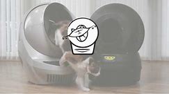 Getting Started with the Litter-Robot 3 (2017)