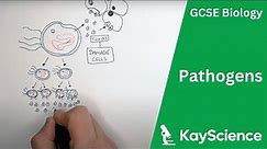 Pathogens (Bacteria, Viruses, Fungi & Protists) - GCSE Biology | Kayscience.com