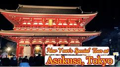 Asakusa Temple in New year, Senso-ji Temple, Kaminarimon, Asakusa Tokyo (東京浅草 浅草寺・雷門の新年特別ツアー)