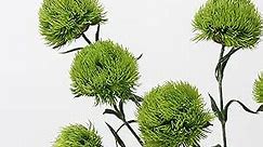 21.5" Artificial Green Dianthus 4pcs Fake Green Carnations Faux Dandelion Greenery Stem Plants for Vase Bouquets Home Office Wedding Decoration(Light Green)
