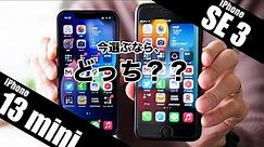 iPhone 13 miniとiPhone SE3、コンパクトスマホ好きにおすすめはどっち？？違いを全11項目で徹底比較！！