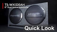 Pioneer - TS-WX1220AH - 2x12-Inch Subwoofers - Quick Look