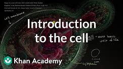 Introduction to the cell | Cells | High school biology | Khan Academy