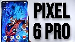 Google Pixel 6 Pro With Android 14 In 2024! The Best Camera You Can Get At This Price! (Now $233)