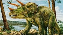 Triceratops - roślinożerny przeciwnik tyranozaura