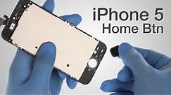Home Button Flex Cable Repair - iPhone 5 How to Tutorial