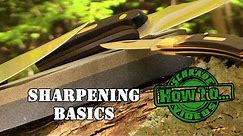 Knife Sharpening Basics: How to Sharpen a Fine Edged Knife With a Stone Sharpener