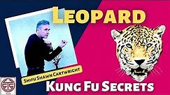 Leopard Kung Fu Style Animal Techniques & Applications - Kung Fu Secrets