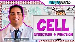 Cell Biology | Cell Structure & Function