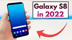 Samsung Galaxy S8 in 2022 - (Still Worth It?)