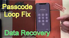 iPhone Passcode Loop Fix 【Data Recovery】iPhone X NFC