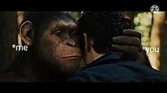 RISE OF THE PLANET OF THE APES FUNNY MEME DUBBED😂 MUST WATCH