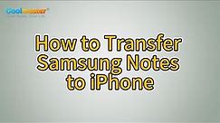 How to Transfer Samsung Notes to iPhone (3 Methods Offered)