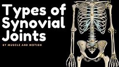 Types of Synovial Joints