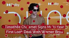 Timothée Chalamet Signs Multi-Year First Look Deal With Warner Bros