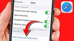 How to Delete Search History on Safari 2024 | Clear Safari Search History With Restrictions iOS 17