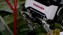 Toshiba shares delisted after 74 years