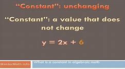 What Is a Constant in Algebraic Math?