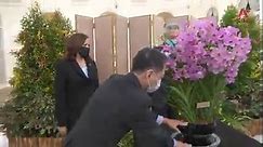 US Vice President Kamala Harris gets orchid named after her | Video