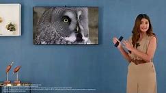 Samsung 43" Crystal Vision 4K Ultra HD Smart LED TV (UA43CUE70AKLXL) in Titan Gray