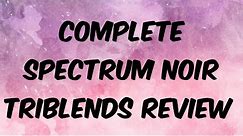 Spectrum Noir Triblend Markers Complete Review