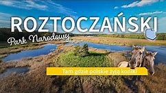 Roztoczański Park Narodowy. Szukamy konika polskiego 🐎 i grzybów 🍄 Najpięknieszy fragment Roztocza!