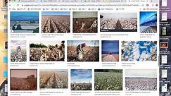 How to Save an Image from Google