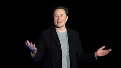 Musk, Wozniak call for pause in AI development