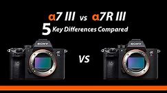 5 Major Differences in Sony A7r iii and Sony A7 iii || Which Is Good For You || SPECIAL PRICE