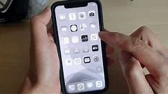 Fix Black And White Screen on iPhone 11 Pro / iOS 13