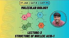 Molecular Biology | Structure of Nucleic Acid-1 | Lecture- 3| Bioeduverse