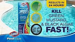 Kill and Prevent Unsightly Green, Mustard and Black Algae: Clorox® Pool&Spa™