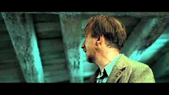 Harry Potter and the Deathly Hallows part 1 - the Order at the burrow after the sky battle (HD)