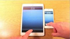 iPad mini vs iPod Touch 5th Gen: Benchmark, Speed, & Hardware