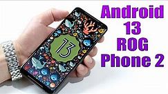 Install Android 13 on ROG Phone 2 (AOSP ROM) - How to Guide!