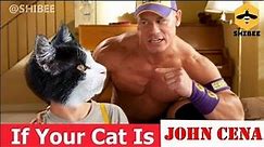 If your cat is Cat Cena #5 | memes | try not to laugh