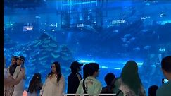 Dubai Mall aquarium
