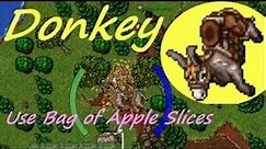 Mount Donkey - Use Bag of Apple Slices. 25.01.2018