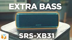 Sony EXTRA BASS SRS-XB31 Bluetooth Speaker Review