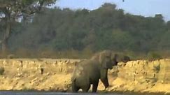 BBC Natural World 1998 Vanishing Pools of the Zambezi