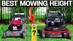 How TALL should you MOW your LAWN? Perfect Height?