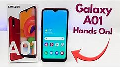 Samsung Galaxy A01 - Hands On & First Impressions!