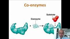 Enzymes co-factors and inhibitors