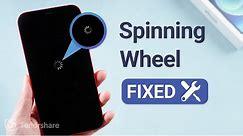 How to Fix iPhone Black Screen Spinning Wheel - 2 Ways