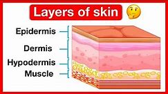 Layers of skin ✋ | Human skin anatomy | Easy learning video | 5 senses