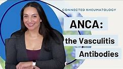 ANCA: The Vasculitis Antibodies